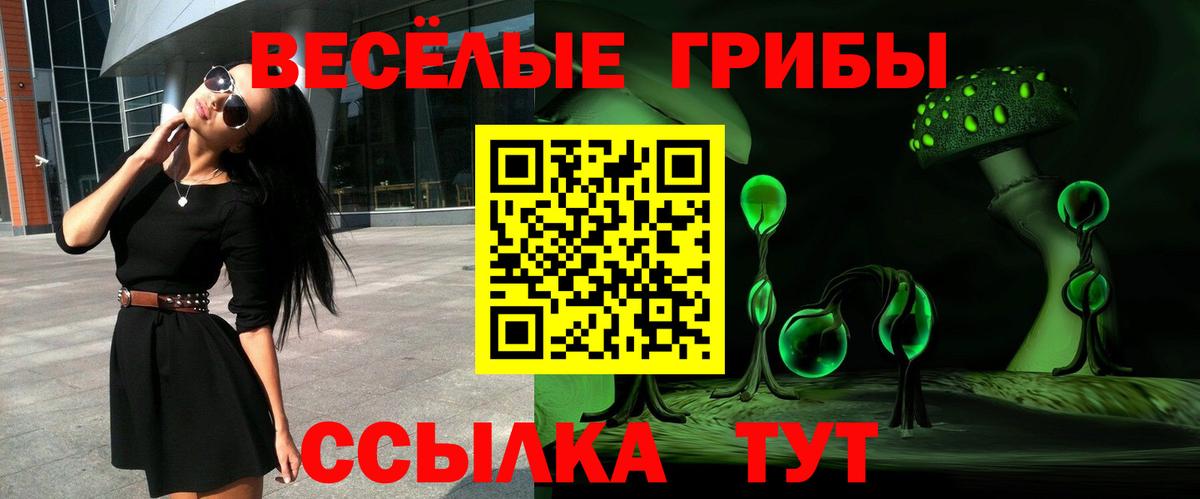 Псилоцибиновые грибы ЛСД Шелехов